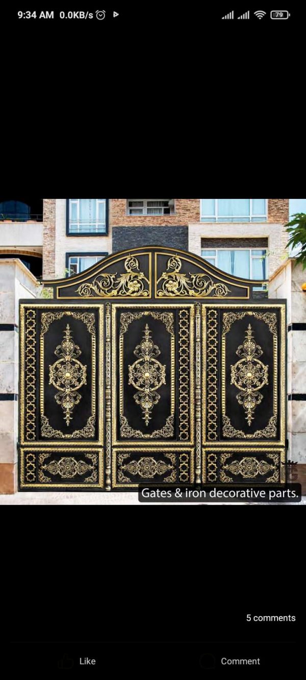 Unique wrought iron doors with custom elegant design